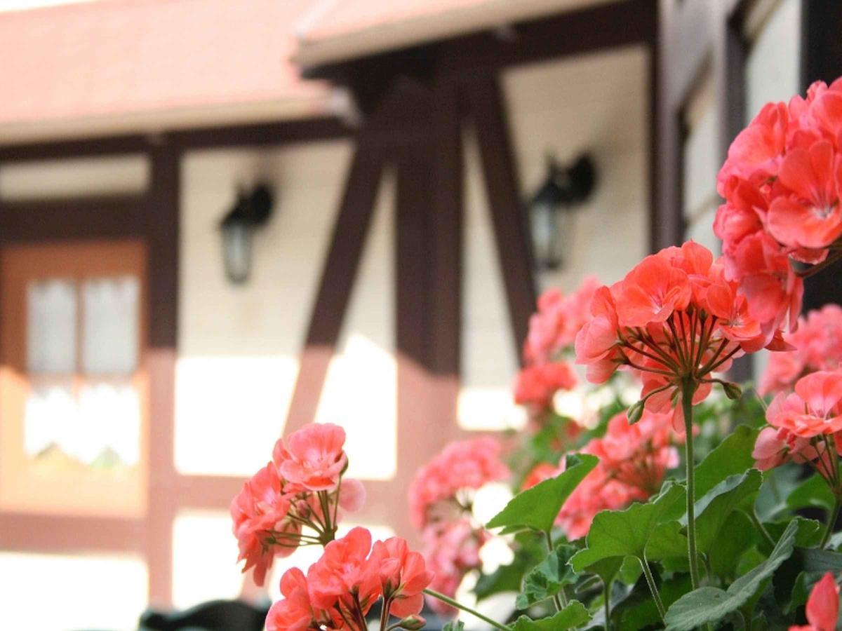 Hotel Schuetzen Bad Peterstal-Griesbach Luaran gambar